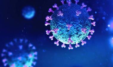 ओमिक्रॉन मुळे मृत्यूचा धोका किती ?