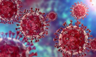 चिंता वाढली!  ओमायक्रॉन नंतर आता 'डेल्टाक्रॉन'चा धोका