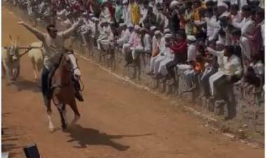 बाबा परत असा घोडीवर बसत जाऊ नकोस