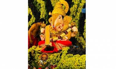 संकष्टी चतुर्थी निमित्त द्राक्ष महोत्सवाचे आयोजन