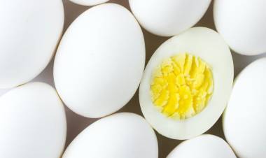 हृदयविकाराच्या रुग्णांना अंडी खाल्ल्याने त्रास होतो का?