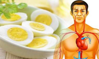 अंडी खाल्ल्याने हार्ट अटॅक, बीपी झपाट्याने कमी होईल?