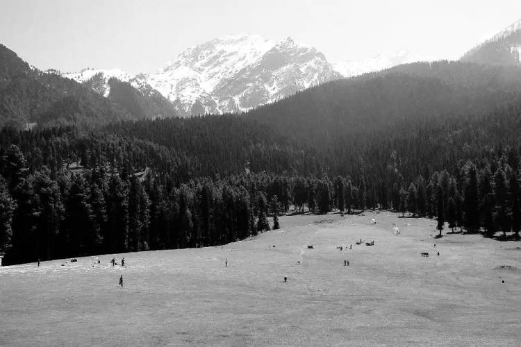 पहलगाम दहशतवादी हल्ला : २० हून अधिक पर्यटकांचा मृत्यू; महाराष्ट्रातील चार, त्यात पुण्यातील दोन जणांचा समावेश